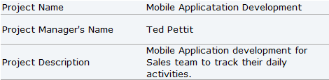 detail pane in excel gantt chart template