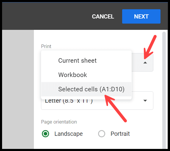 print-section-option