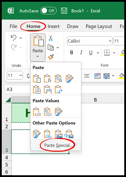 open-paste-special-option