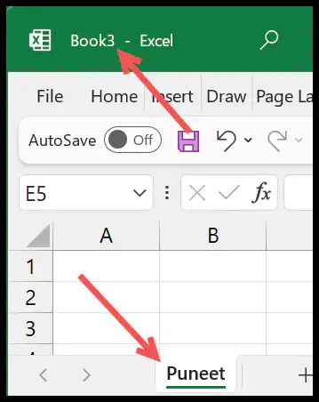 sheet-copied-into-new-workbook